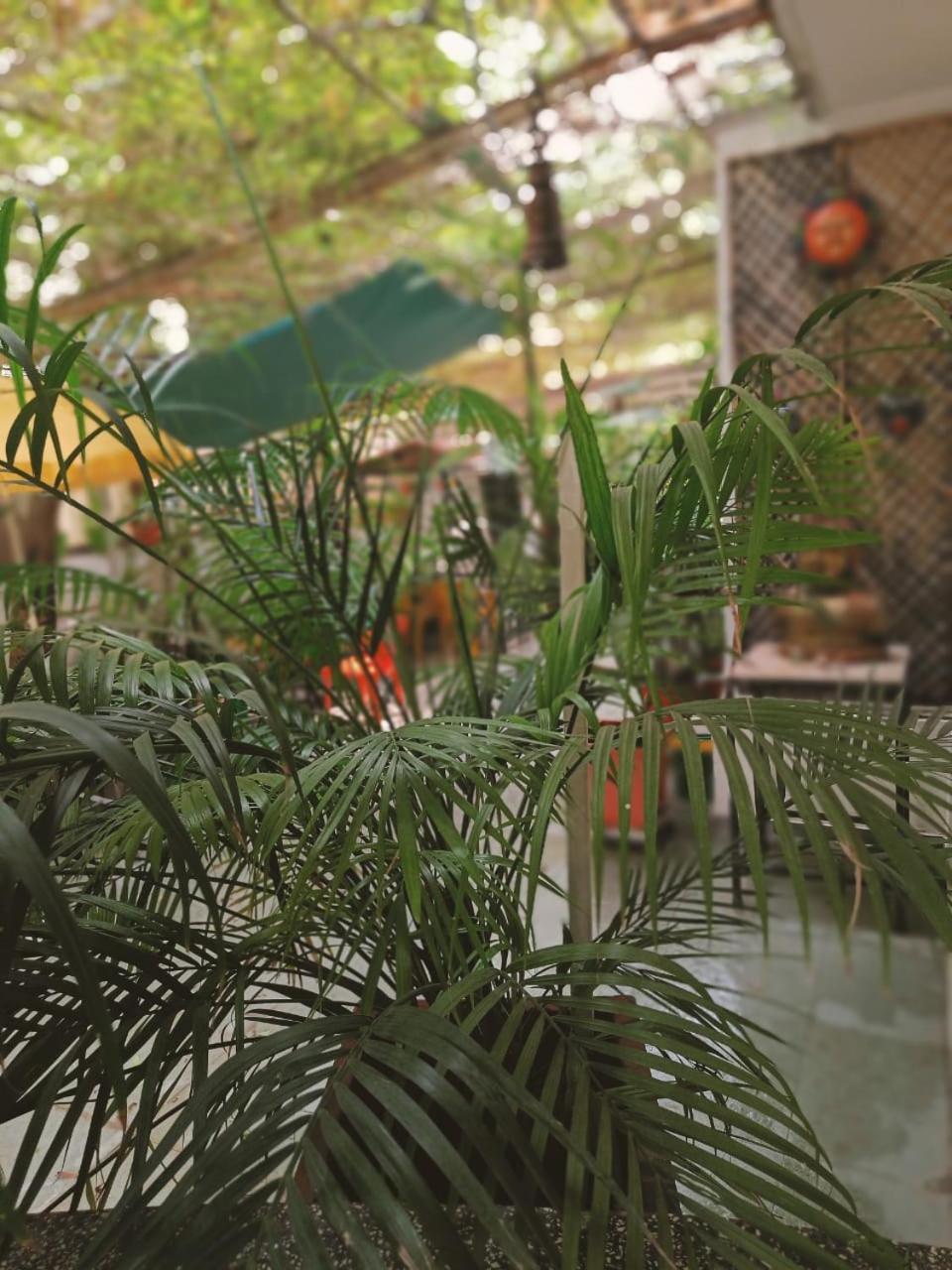Srinekatan Heritage Villa Homestay Ahmedabad Exterior foto