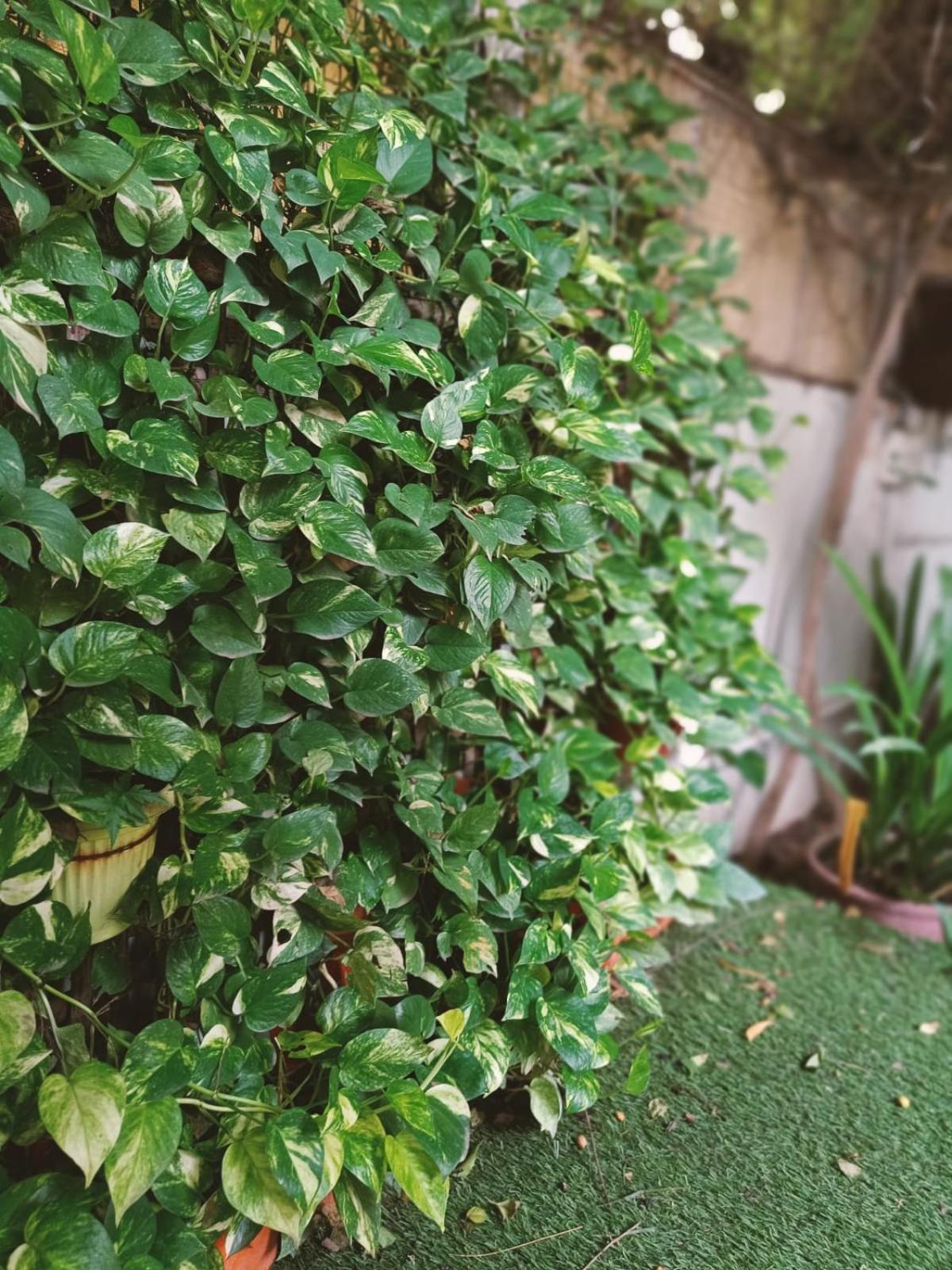 Srinekatan Heritage Villa Homestay Ahmedabad Exterior foto